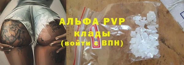 сатива Арсеньев