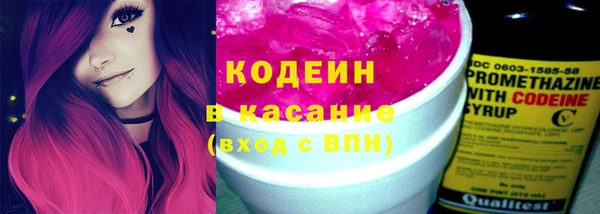 сатива Арсеньев