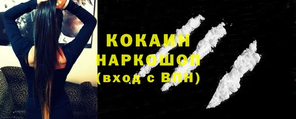 сатива Арсеньев