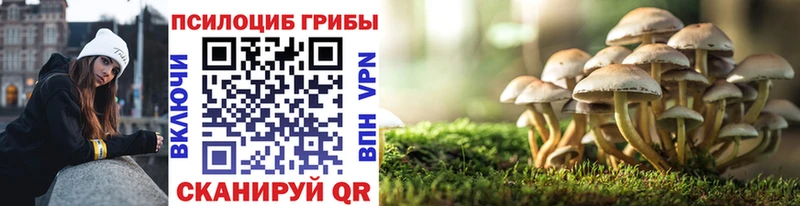 Псилоцибиновые грибы MAGIC MUSHROOMS  блэк спрут как войти  Нарткала 